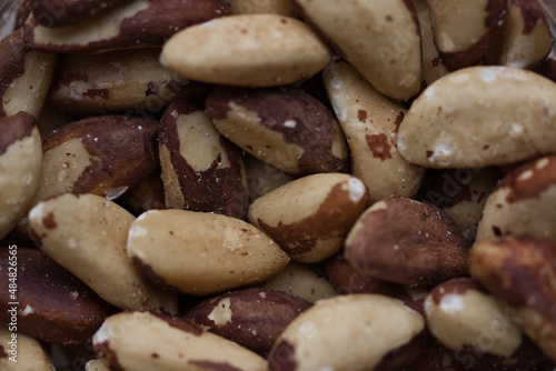 brazil nuts (Bertholletia excelsa) paranoten