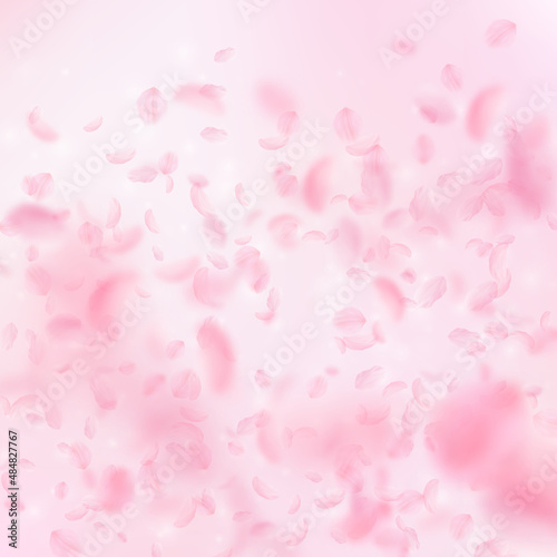 Sakura petals falling down. Romantic pink flowers gradient. Flying petals on pink square background. Love, romance concept. Terrific wedding invitation.