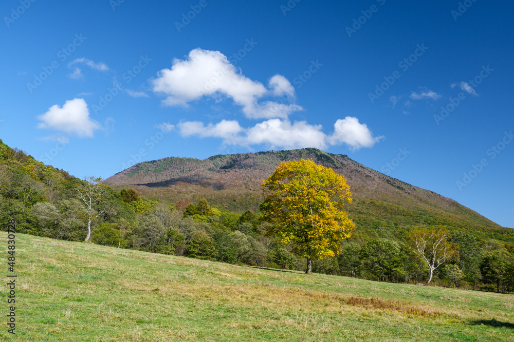 Fototapeta premium 黒姫山の雲