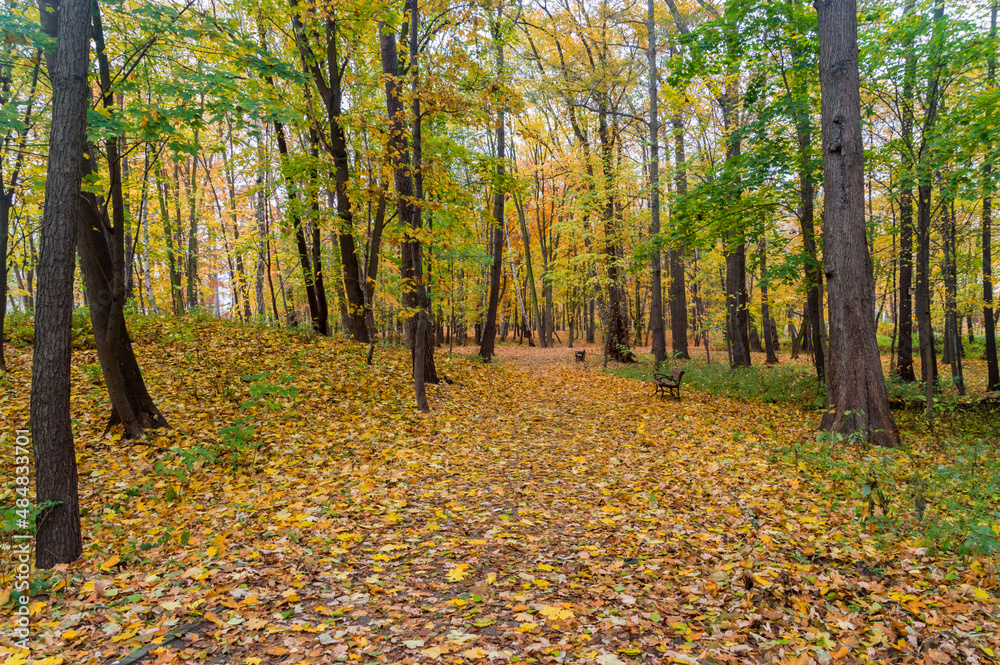 Park Brzeznienski in autumn time in Gdansk, Poland. Park Brzeznienski in autumn time in Gdansk, Poland.