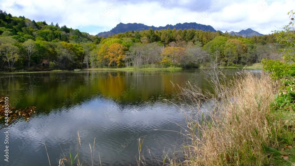 小島ヶ池の紅葉 小島ヶ池の紅葉
