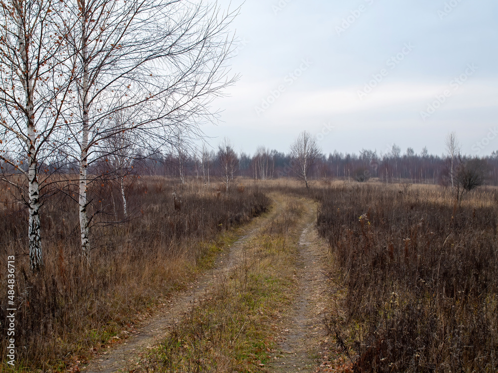 dirt road through the field on a cloudy day