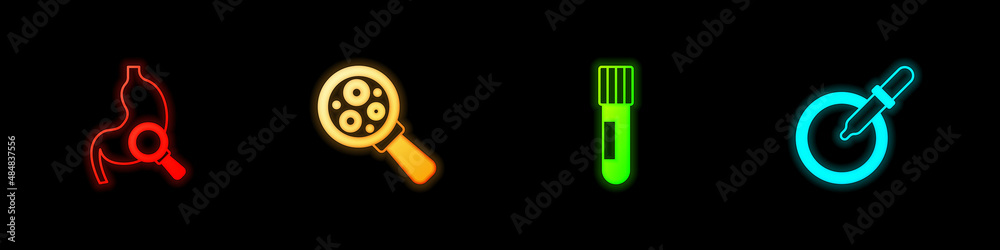 Set Stomach with magnifying glass, Microorganisms under magnifier, Test tube and flask and Petri dish pipette icon. Vector Set Stomach with magnifying glass, Microorganisms under magnifier, Test tube and flask and Petri dish pipette icon. Vector