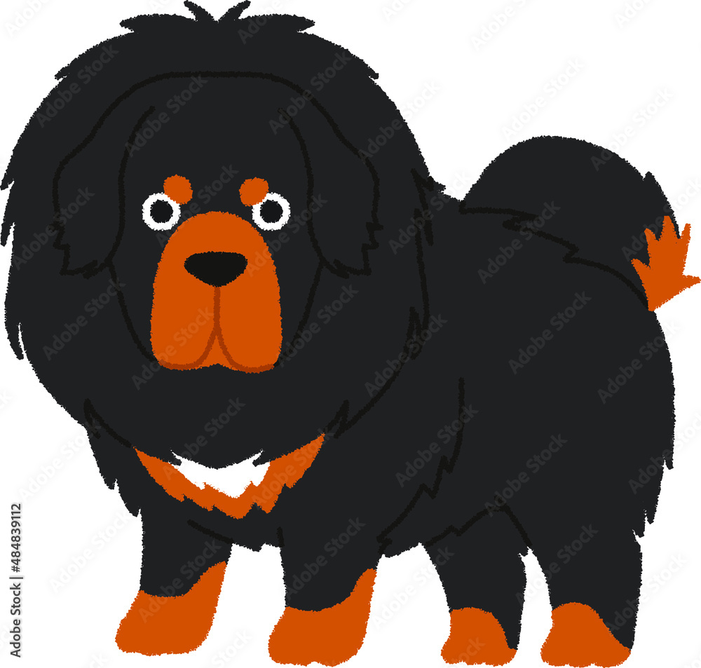 チベタン・マスティフの犬イラスト チベタン・マスティフの犬イラスト