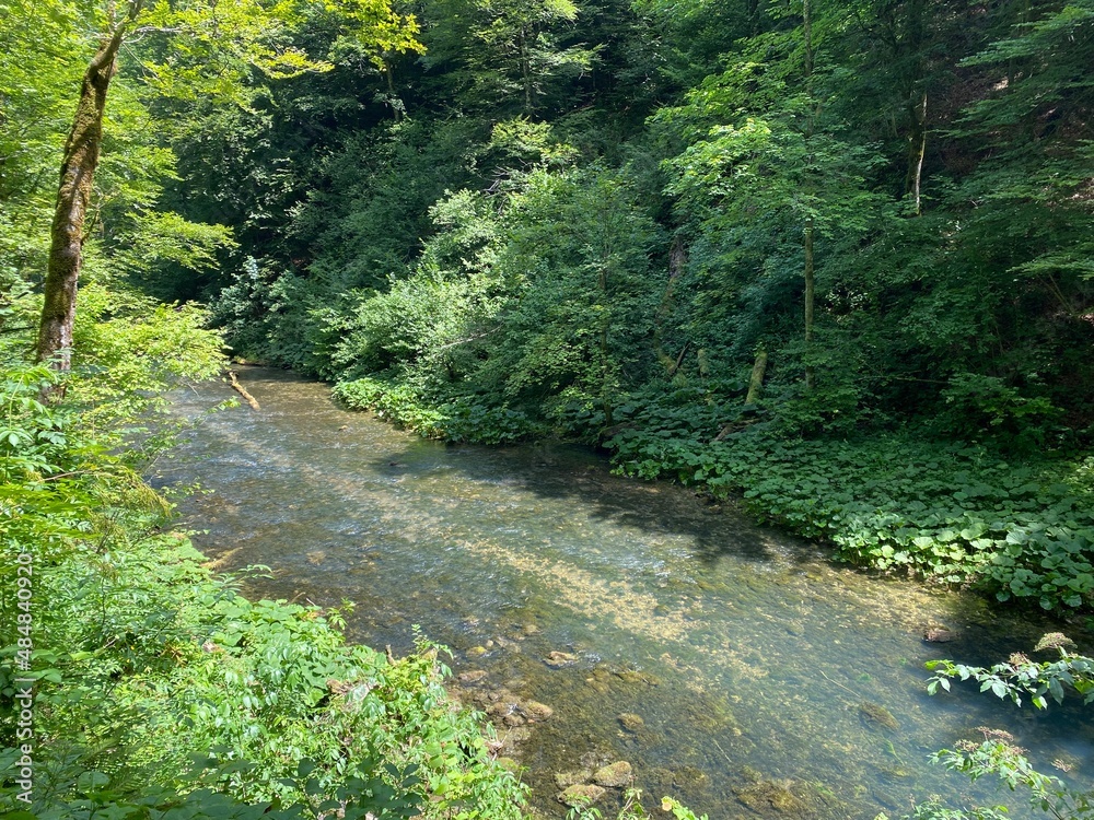 Protected landscape of the small river Kamacnik in Gorski kotar - Vrbovsko, Croatia (Zaštićeni krajolik rječice Kamačnik u Gorskom kotaru - Vrbovsko, Hrvatska)
