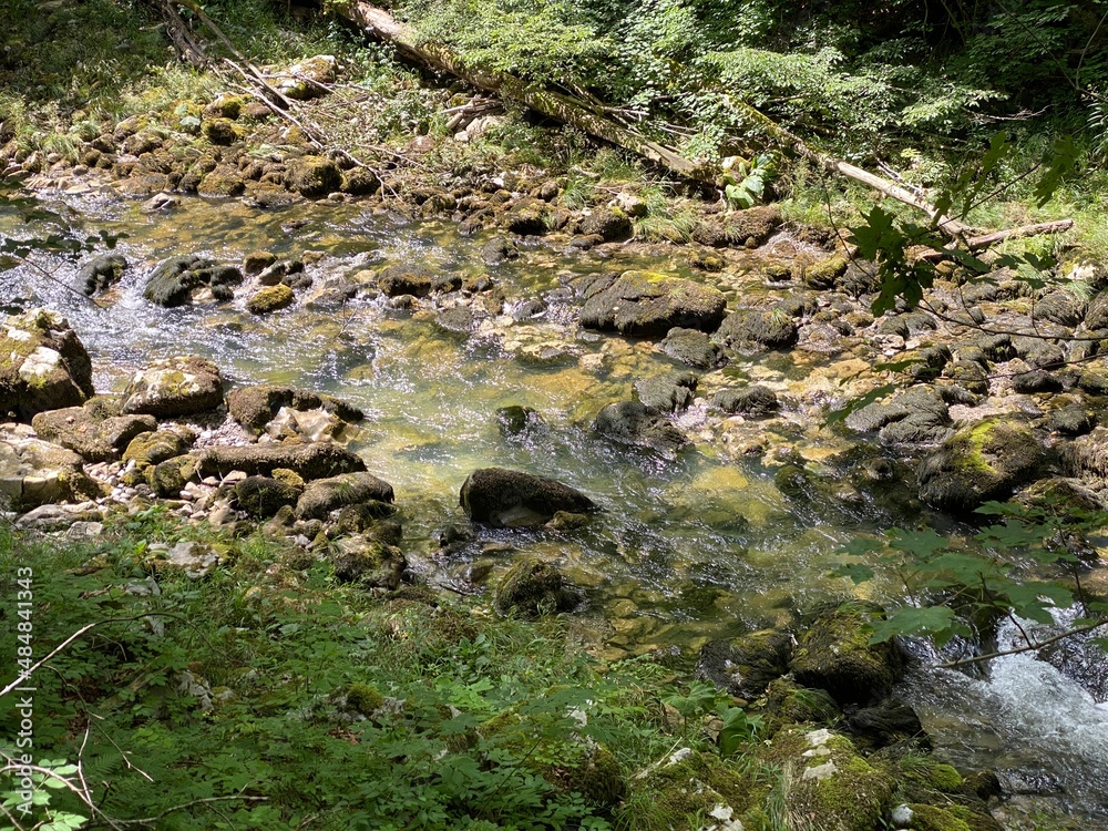Protected landscape of the small river Kamacnik in Gorski kotar - Vrbovsko, Croatia (Zaštićeni krajolik rječice Kamačnik u Gorskom kotaru - Vrbovsko, Hrvatska) Protected landscape of the small river Kamacnik in Gorski kotar - Vrbovsko, Croatia (Zaštićeni krajolik rječice Kamačnik u Gorskom kotaru - Vrbovsko, Hrvatska)