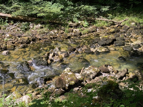 Protected landscape of the small river Kamacnik in Gorski kotar - Vrbovsko, Croatia (Zaštićeni krajolik rječice Kamačnik u Gorskom kotaru - Vrbovsko, Hrvatska) photo