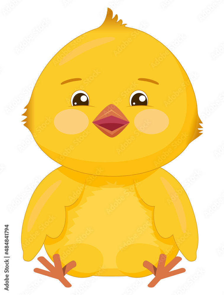 Cheerful romantic sitting yellow chicken. Funny bird with pink cheeks and big eyes isolated on white background.