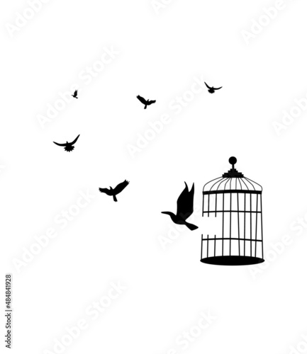 Flock of birds flew out of the cage © Matcha