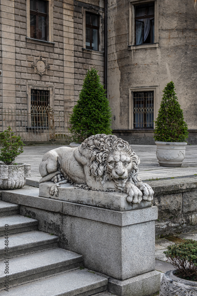 przepiękny kamienny posąg odpoczywającego lwa