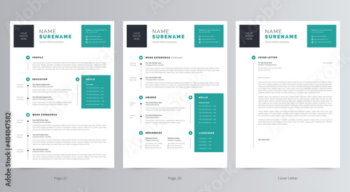 Professional Resume/CV and Cover Letter Template
