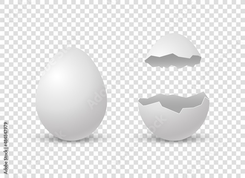 Brocken eggs. Crack eggshell. Vector realistic break white shell on transparent background.