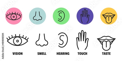 Minimal sence icons. Eye nose ear hand tongue sensation sign. Vector sensory simple sign