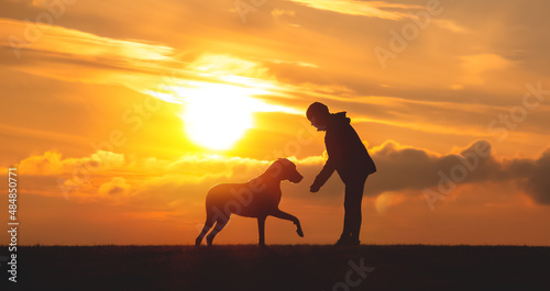 Fototapeta Naklejka Na Ścianę i Meble -  Silhouette of a girl with a big dog at sunset