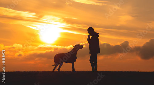 Silhouette of a girl with a big dog at sunset © Taras Rudenko