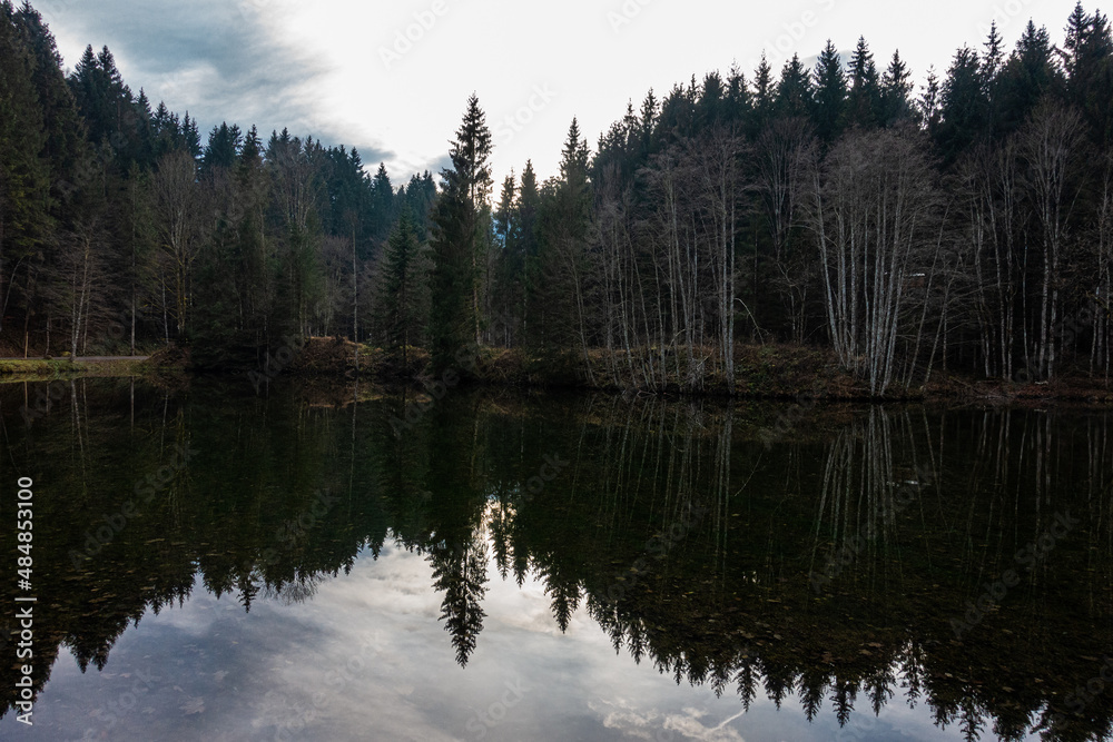 Waldsee Waldsee