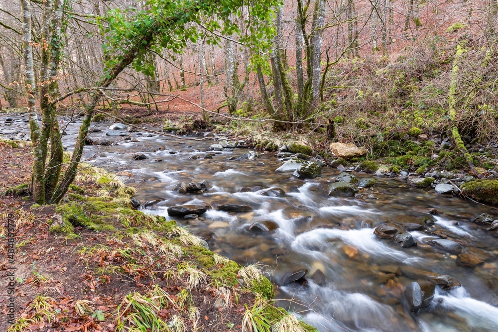 Obraz premium Arga Regatta. Quinto Real