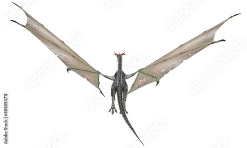 Fantasy flying dragon isolated on white 3d illustration © max79im