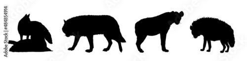Pack of wolves on the hunt. Silhouette illustration with predators. 