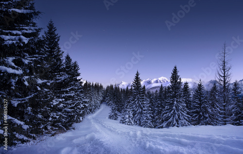 Beautiful winter landscape with snow, snow-covered forest and the peak of the mountains in the background. Winter mountain trail just after sunset. Polish mountains, Zakopane
