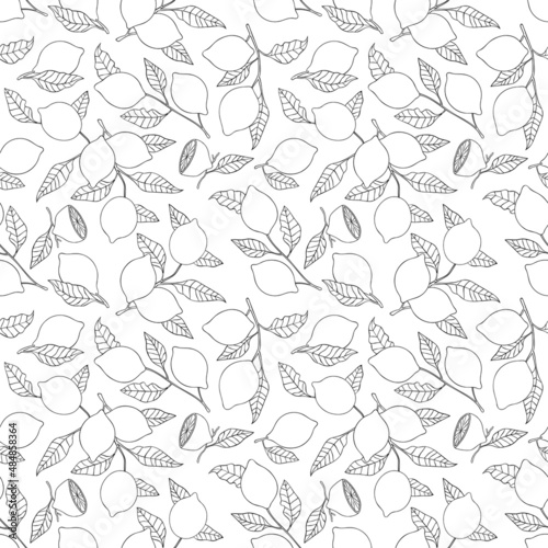 Lemons. Seamless vector pattern  background . Cartoon fruit print. 