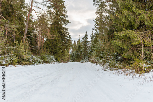 Empty snow covered road in winter landscape.Snowy Road through a forest Landscape in Winter Cloudy Day.