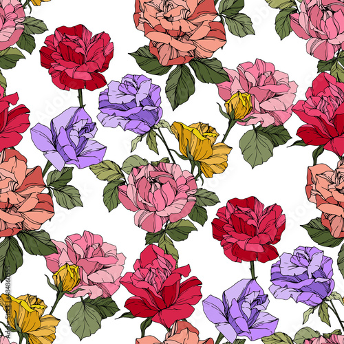 beautiful vector roses floral botanical