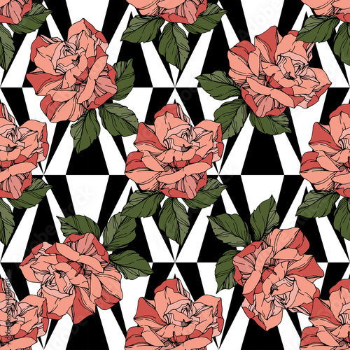 beautiful vector roses floral botanical