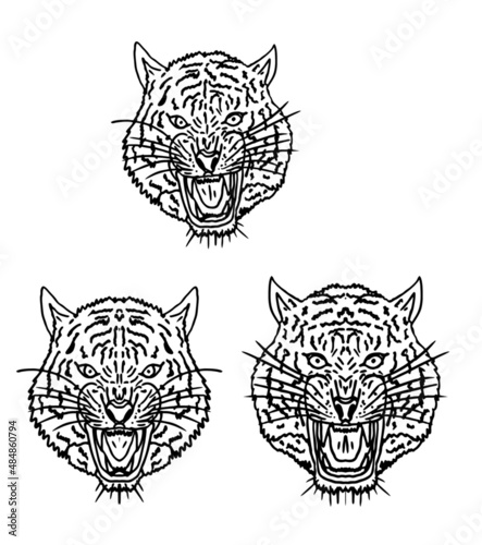Photography Tattoo tribal wild cats tiger graphic design vector art