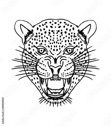 Tattoo tribal leopard graphic design vector art