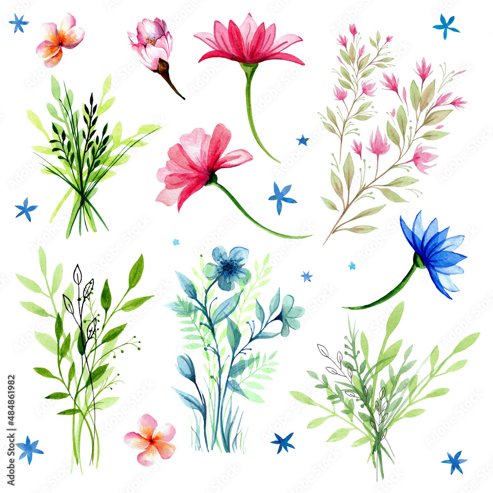 Fototapeta premium A set of paintings of spring flowers and bouquets, hand-painted with watercolors on a white background.