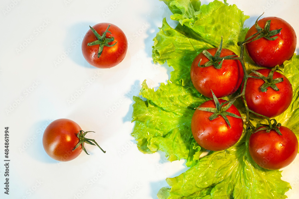 Tomatoes red and green lettuce on white background Tomatoes red and green lettuce on white background