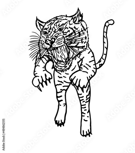 Photography Tattoo tribal wild cats tiger graphic design vector art