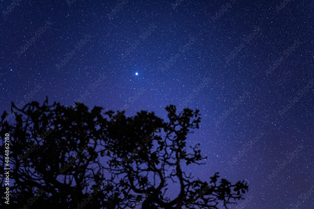 Honolulu, Oahu, Hawaii, stargazing, starry sky and Milky Way
