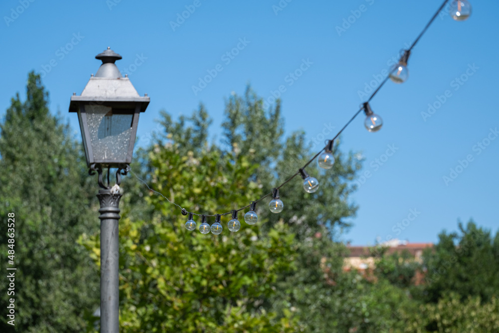 Illumination landscape light park with electric garland of light bulbs Illumination landscape light park with electric garland of light bulbs
