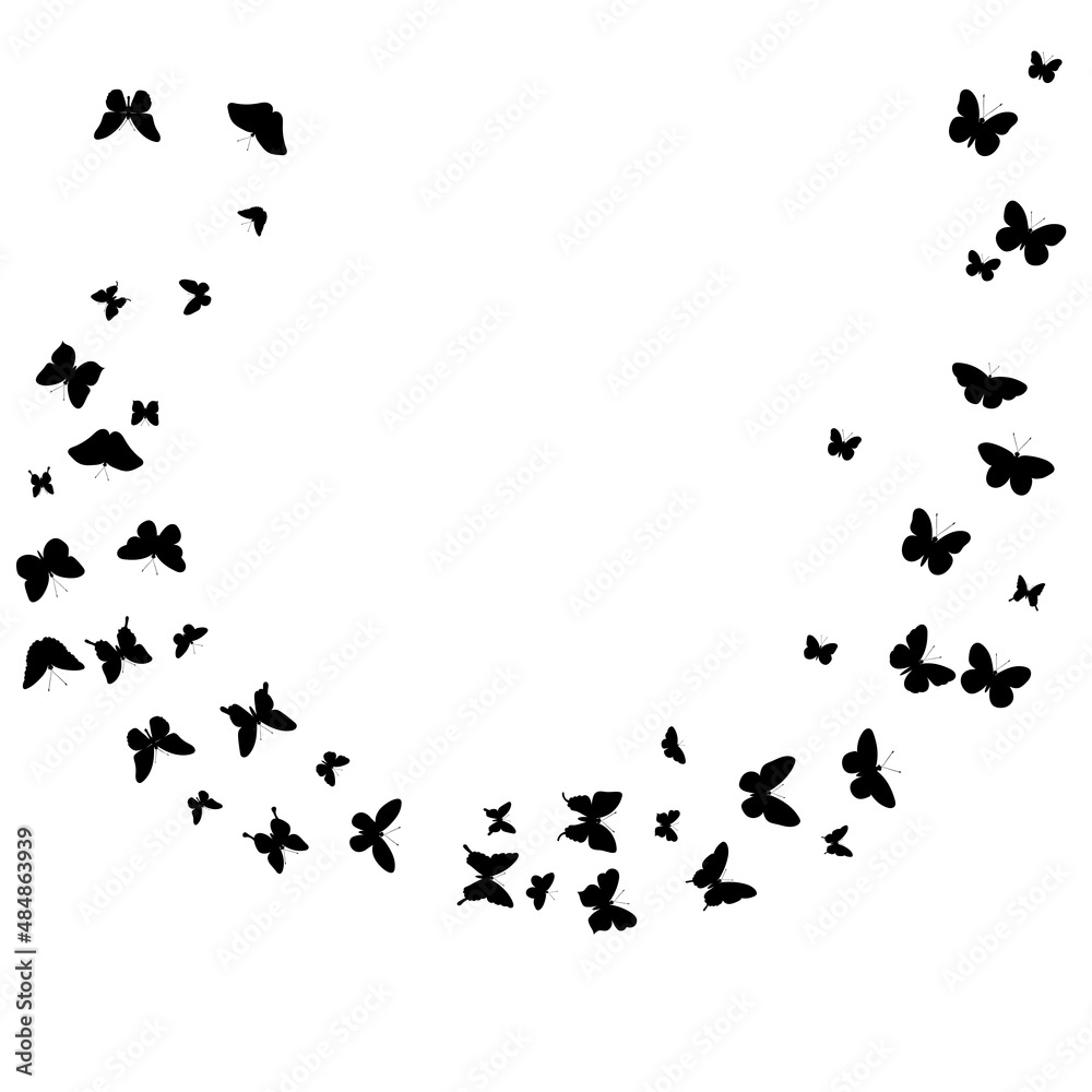 on a white background flying butterflies silhouette ,on a white background, vector on a white background flying butterflies silhouette ,on a white background, vector
