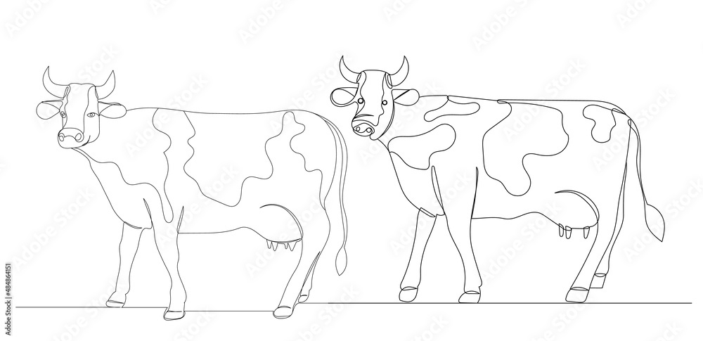 cows in one line, outline, vector, isolated