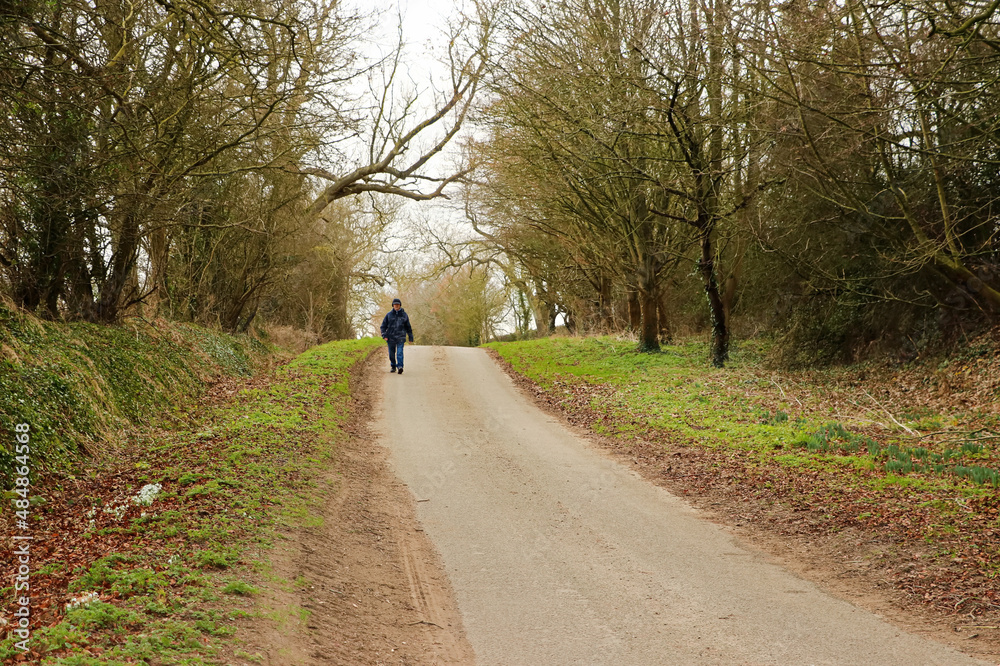 Man walking down a narrow country road with trees and snowdrops on a cold day in winter. Senior man is taking healthy exercise down a single track road with a slope, beautiful rural area and landscape