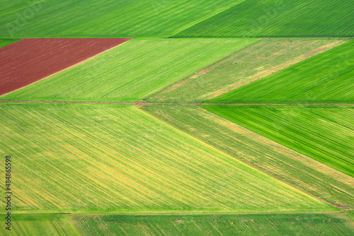 Aerial photo of a multicolored and fertile cultivated field during spring season