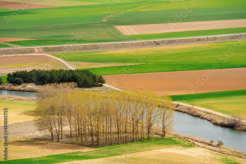 Aerial photo of a multicolored and fertile cultivated field during spring season