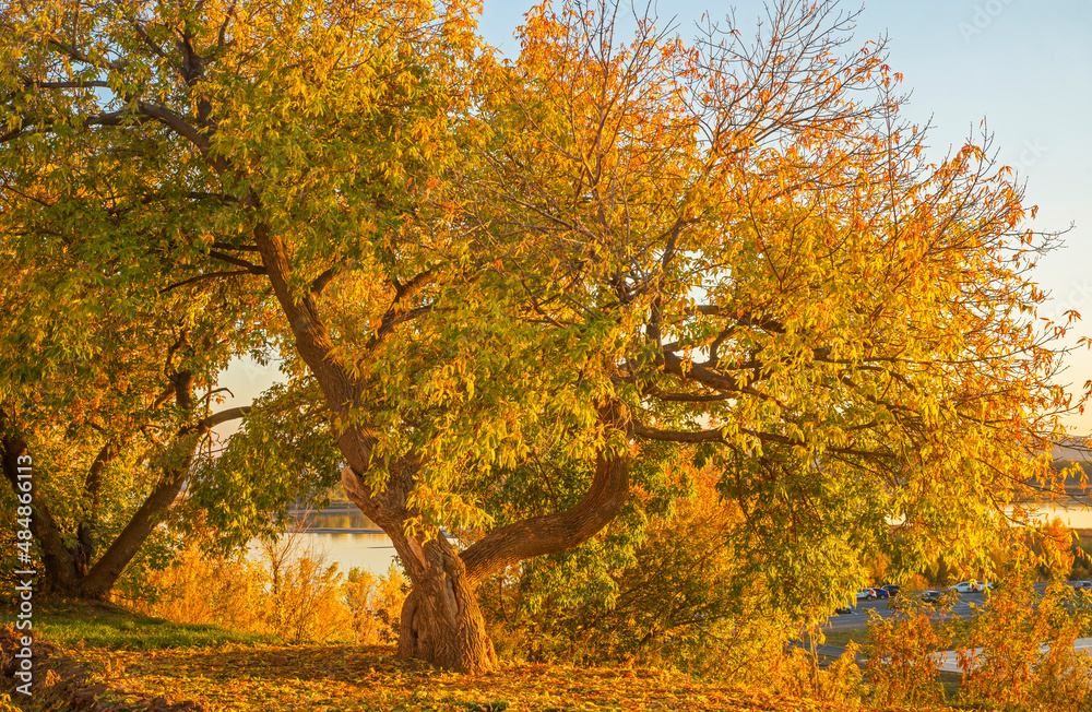 Landscape in Sviyazhsk. Tatarstan. Russia