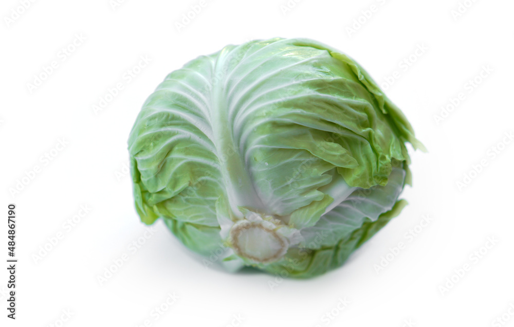 Fototapeta premium Fresh cabbage vegetable isolated on white background. Concept : organic healthy food ingredient for cooking that can cook for variety menu. Agriculture crop from Thailand. 