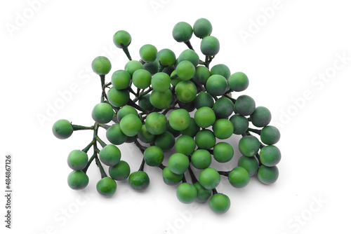 Green herbal fruits ,Turkey berry or Solanum torvum (Scientific name) isolated on white background. Local crops in Thailand that grow for food ingredient or eat as herb.             