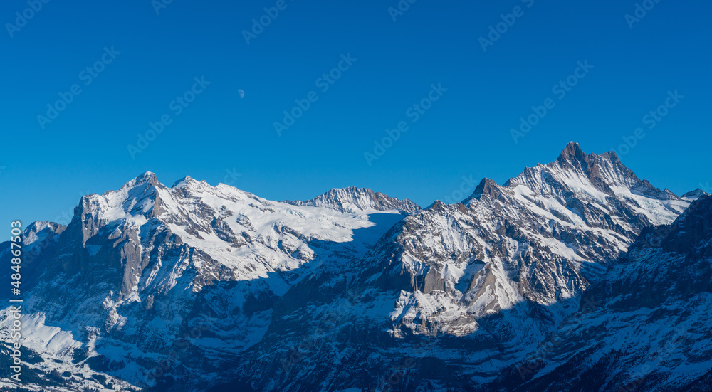 Fototapeta premium Switzerland Alps