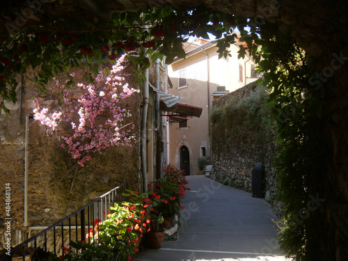 Colonnata typical street with colorful buildings and in the backgound the marble quarries of the Apuan Alps