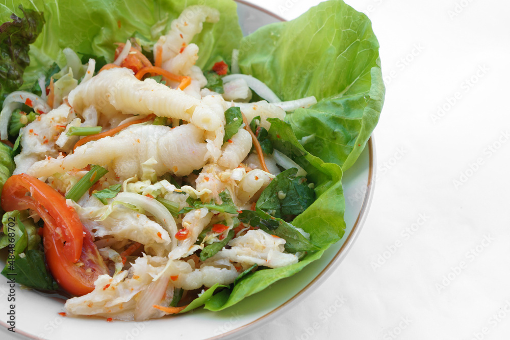 Spicy chicken feet salad mixed vegetables on dish. Concept : Thai food cooking. Weird food. Healthy menu, good for on diet or control weight. Best to eat along with beer. Spicy chicken feet salad mixed vegetables on dish. Concept : Thai food cooking. Weird food. Healthy menu, good for on diet or control weight. Best to eat along with beer.