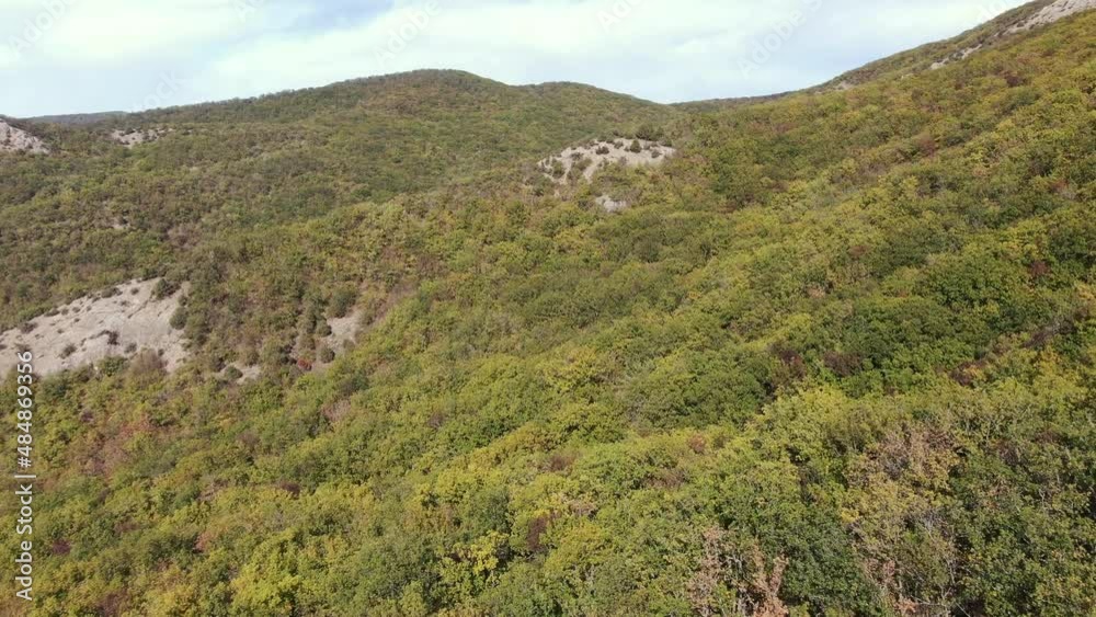 Aerial view. Majestic forested cliff slopes. Natural background Aerial view. Majestic forested cliff slopes. Natural background