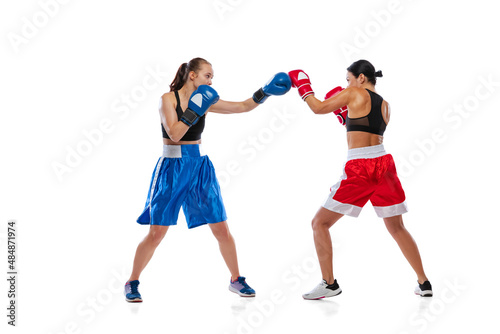 Two woman professional boxers boxing isolated on white studio background. Couple of fit muscular caucasian athletes fighting. Sport, competition © master1305