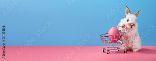 Photography Easter bunny rabbit with shopping basket and painted egg