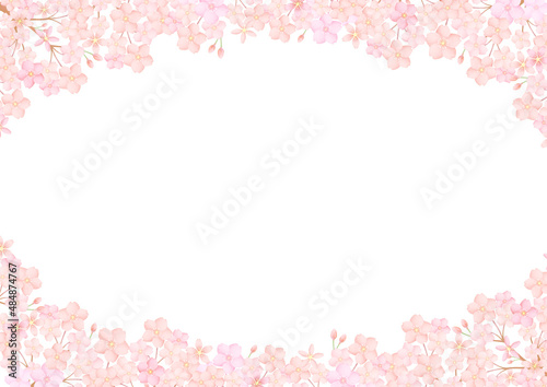桜 さくら サクラ 背景 